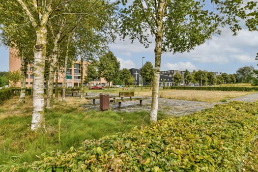 A vibrant urban park showcasing lush greenery, trees, and a stone pathway surrounded by modern buildings. A serene space for relaxation and leisure.