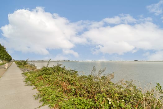 A serene walkway alongside a calm water body, featuring vibrant green plants and a backdrop of fluffy clouds in a picturesque sky.