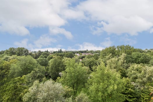 A vibrant view of a lush green landscape dotted with trees under a bright blue sky, capturing the beauty of nature and tranquility.