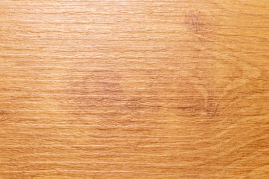 Macro shot of wooden surface
