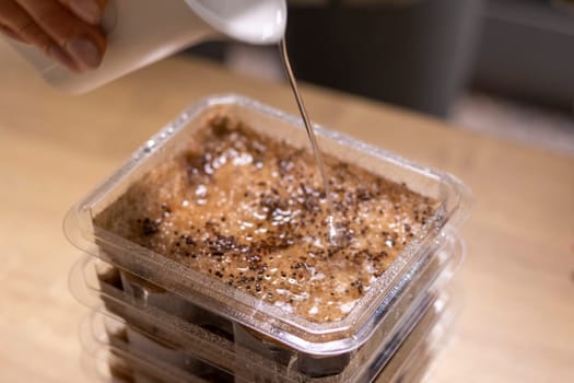 Stacked plastic containers with watered seeds of micro greens on jute mats