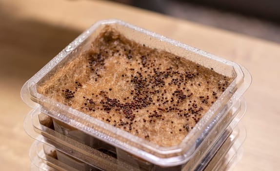 Stacked plastic containers with watered seeds of micro greens on jute mats