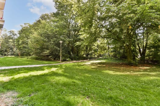 A serene park scene showcasing a well-maintained grassy area surrounded by dense trees and a clear blue sky. Perfect for relaxation and nature walks.