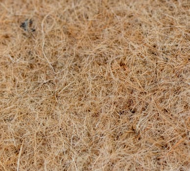 Close up shot of the jute mat surface used for growing micro greens