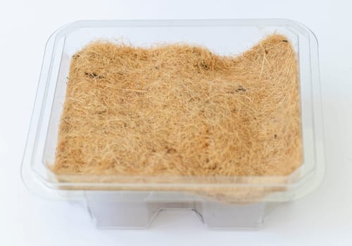 Plastic container used mainly to grow micro greens with jute mat in it