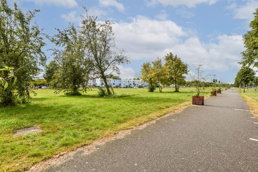 A serene and sunny park pathway lined with trees and lush green grass, inviting leisurely strolls under a bright sky.