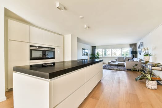 A sleek and modern kitchen featuring minimalist design elements, large windows providing natural light, and a stylish living area visible in the background.