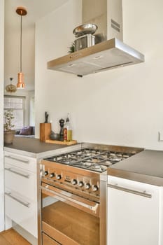 A contemporary kitchen featuring stainless steel appliances, minimalist cabinetry, and a stylish hood above a professional-grade stove, perfect for culinary enthusiasts.