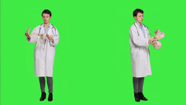 Orthopedics specialist holding a cervical neck collar against greenscreen backdrop, medical foam tool helping with fractures and physical therapy. Medic uses brace for accident trauma. Camera A.
