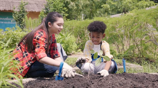 Children group girl and boy of diverse learning environment for plants vegetable at garden farm, Cute child learn gardening, Ecology, organic food, agriculture school learning