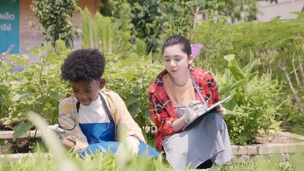 Happy children farmer hands holding magnifying glass and looking at vegetables in hydroponics farm, Biotechnology kid examining plant leaf, agriculture school learning research for science concept