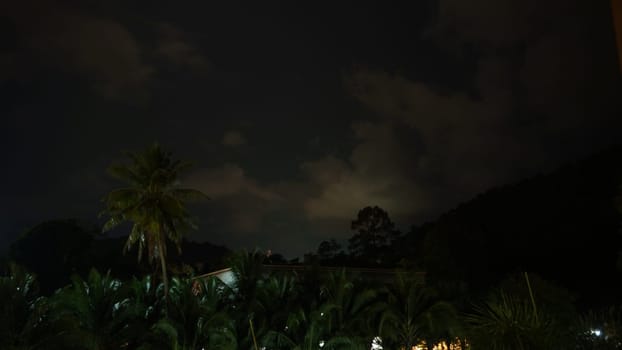 Tropical vegetation and palm trees thriving under a partially cloudy night sky create a serene landscape, enveloping the scene in a tranquil and exotic ambiance perfect for relaxation