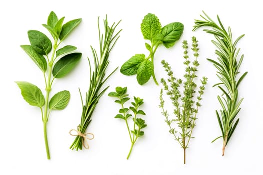 relating to or made from herbs, especially those used in cooking and medicine