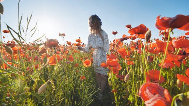 Young woman in white floral dress gathering red poppies during golden summer sunset in rural meadow