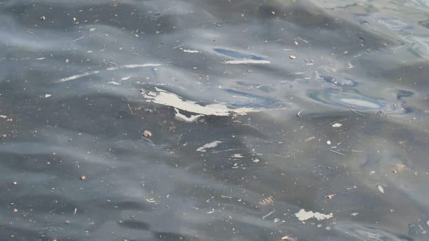 Murky water surface displaying pollution, floating debris, and contaminating substances threatening environmental health