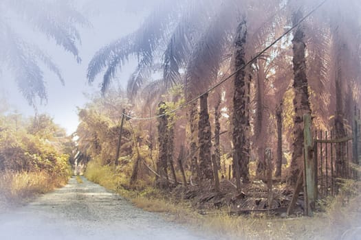 infrared image of the wild vegetation environment landscape at the palm oil plantation.