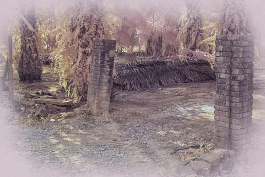 infrared image of the wild vegetation environment landscape at the palm oil plantation.