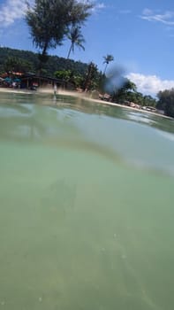 Split level photo capturing jellyfish gracefully swimming near a tropical beach in thailand, framed by swaying palm trees, colorful beach umbrellas, and nearby buildings