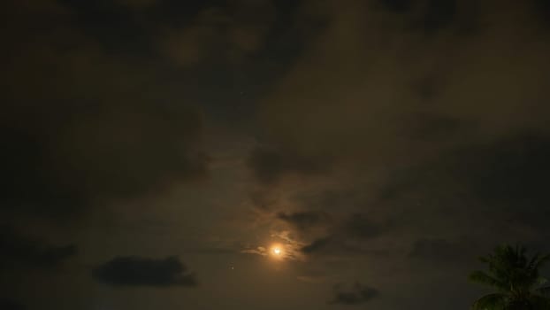 Moonlight shining through dark clouds at night, illuminating visible stars and casting a serene glow on a palm tree in the corner, creating a mystical and atmospheric scene