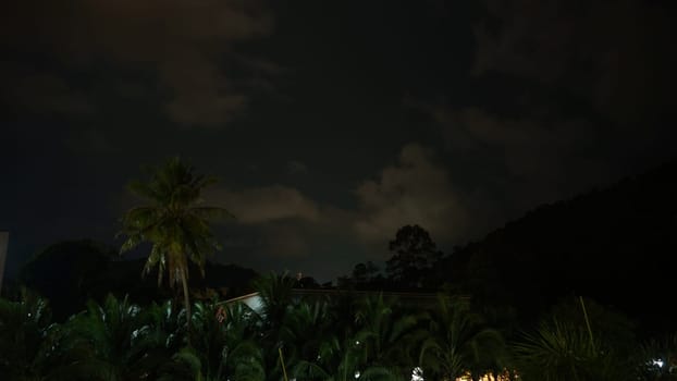 Tropical vegetation and palm trees thriving under a partially cloudy night sky create a serene landscape, enveloping the scene in a tranquil and exotic ambiance perfect for relaxation