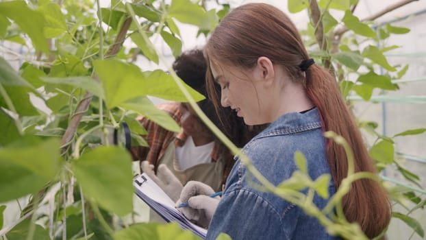 Happy children farmer hands holding magnifying glass and looking at vegetables in hydroponics farm, Biotechnology kid examining plant leaf, agriculture school learning research for science concept