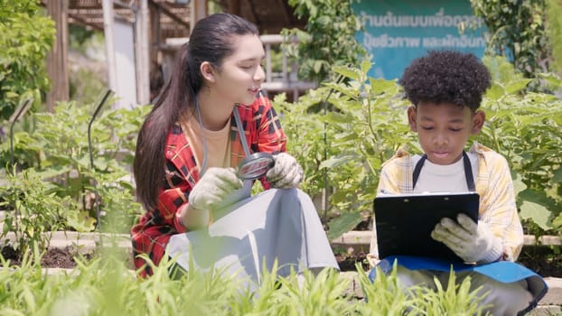 Happy children farmer hands holding magnifying glass and looking at vegetables in hydroponics farm, Biotechnology kid examining plant leaf, agriculture school learning research for science concept