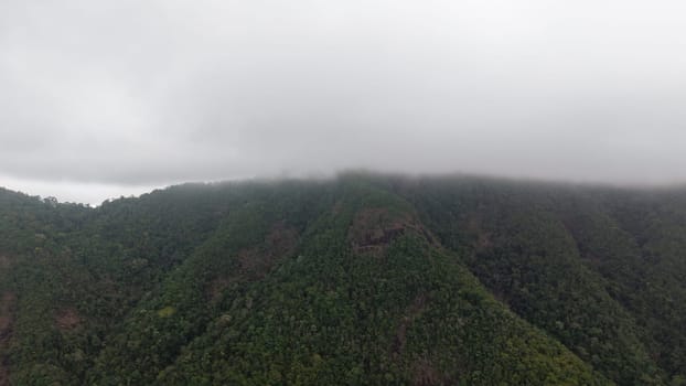 Low clouds enveloping the peaks of a lush green mountain range create a serene atmosphere over the dense tropical rainforest, showcasing the beauty of this untouched wilderness