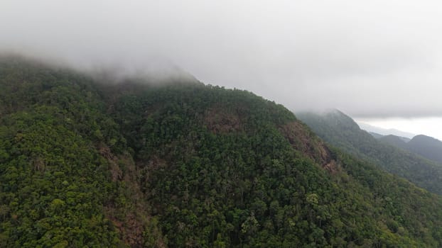 Low clouds enveloping the peaks of a mountain range draped in tropical rainforest create a mysterious, evocative atmosphere, highlighting the lush greenery and untouched wilderness