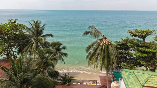 Lush palm trees frame a breathtaking view of a tropical beach with crystal clear turquoise water, inviting tourists to take a refreshing dip in the ocean
