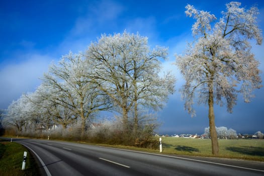 Winter landscape with a country road along trees covered with white frost seen in Schrobenhausen (Bavaria, Germany)