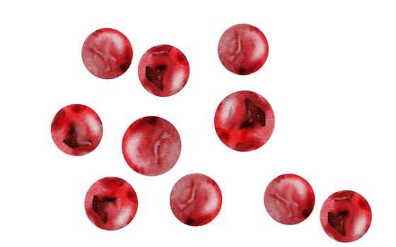 Pink peppercorns watercolor. Hand drawn dried pepper. Clip art on a white background of hot spices. Ideal for cookbooks, menus and organic product packaging. High quality photo
