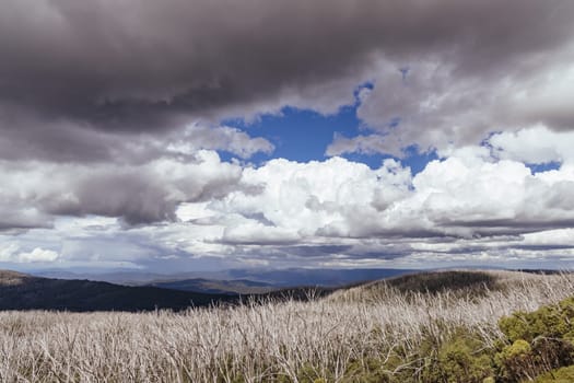 Views from Boundary Hut Trail near Lake Mountain on a clear summer's day, near Marysville, Victoria, Australia