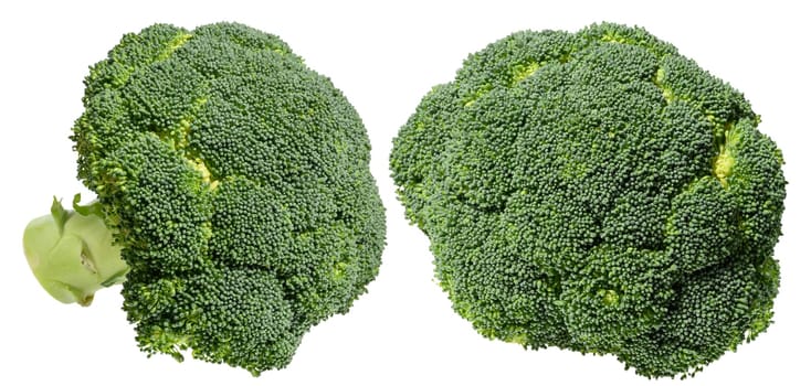 Fresh green broccoli floret with stalk, isolated background. Healthy and nutritious vegetable for salads and cooking recipes, set