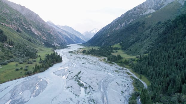 Braided river flowing through a valley in the tian shan mountains, surrounded by lush green forest and towering peaks, creating a breathtaking natural landscape