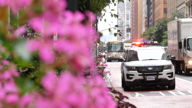 New York City, United States - 29 Aug 2023: Police patrol car, USA NYPD, 911 vehicle on Manhattan Midtown 34th street. American cop auto siren light on avenue. Urban traffic, road transport scene. Bus