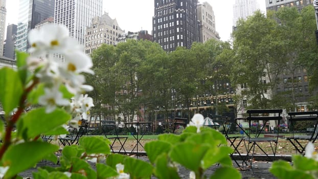 New York City, United States - 13 Sept 2023: Manhattan Midtown Bryant Park with Public library, 42 street and Fifth 5 avenue. USA landmark. Empty chair and table in summer greenery. Green grass lawn.