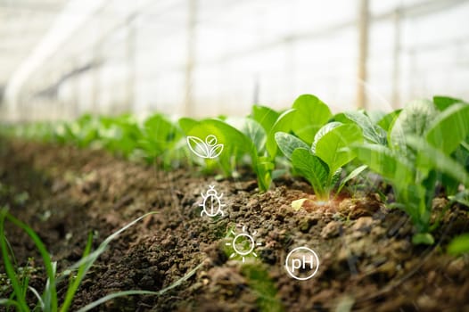 Agricultural technology with smart sensors tracking pH, sunlight, pests, and plant health in a controlled.