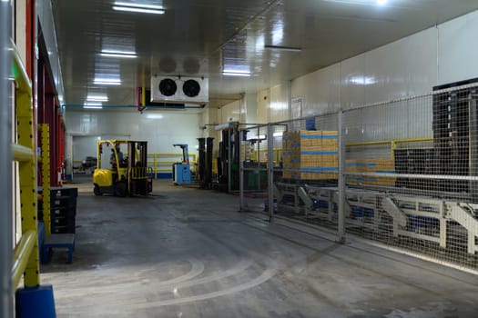 Industrial storage area featuring forklifts, conveyor systems, and stacked boxes on pallets.