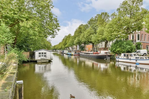 A tranquil canal surrounded by vibrant greenery and quaint boats, reflecting calm waters under a blue sky. Perfect for nature lovers and travel enthusiasts.