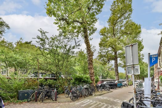 A vibrant scene showing bicycles parked alongside a serene walkway surrounded by lush trees and open sky. The setting invites tranquility and outdoor exploration.