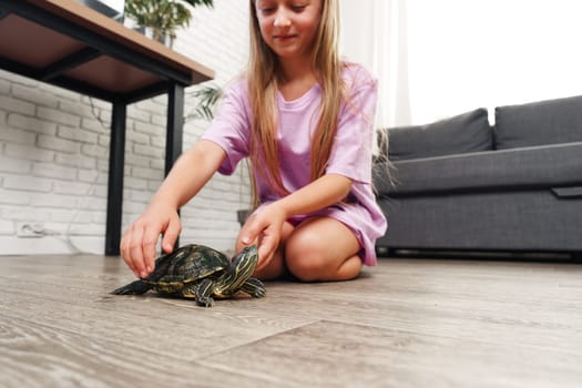 A young girl in a purple shirt kneels on the floor, gently interacting with a turtle in a bright living room. The space features a couch and plants, creating a homely atmosphere.