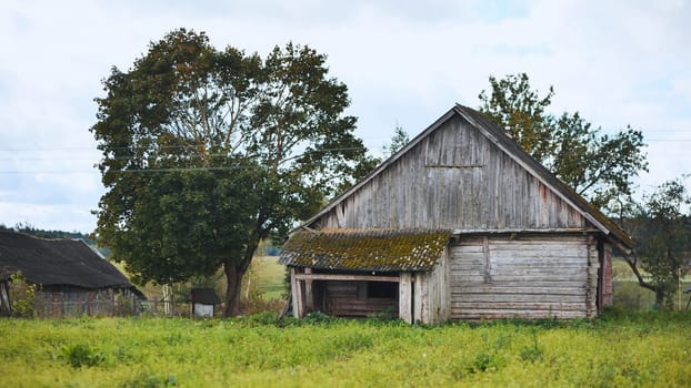 Dilapidated wooden barn building standing in a green grass field, showing signs of aging and decay, creating a rustic countryside scene