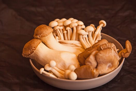 A bowl with fresh edible mushrooms isolated on black