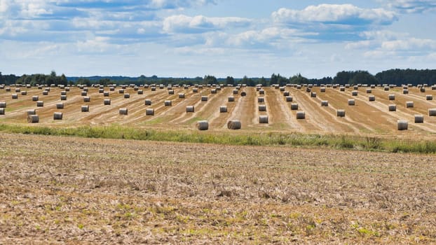 Straw bales lying on a mown field after harvesting grain crops creating a beautiful rural landscape