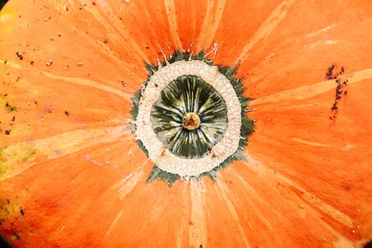Vibrant orange pumpkin skin with unique stem detail, perfect for autumnal themes
