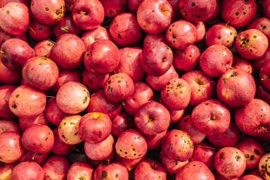 Background of red apples with some imperfections showing the natural production process