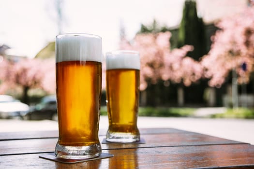Two glasses of cold amber beer with thick foam standing on a wooden table outdoors. Ideal for spring lifestyle, beer ads, outdoor leisure, and drink-related projects