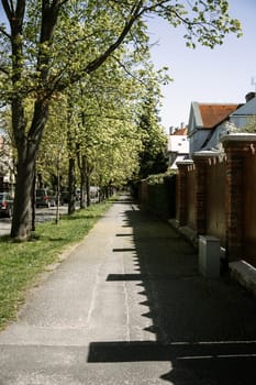 Quiet suburban street with lush green trees and shadows of a red-brick fence on the sidewalk. Great for concepts of spring, calm living, architecture, and peaceful neighborhoods