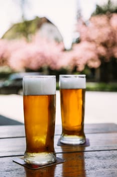 Two cold glasses of frothy beer on a wooden table outdoors with blooming cherry trees in the background. Perfect for beer ads, spring campaigns, and outdoor lifestyle visuals