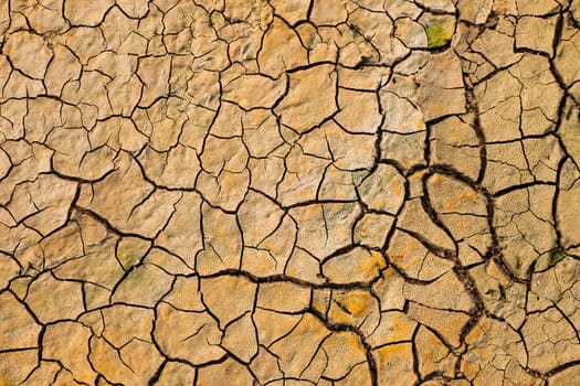 Dry cracked earth texture forming abstract pattern during severe drought